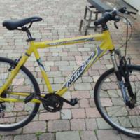 MTB telaio in alluminio ruote da 26