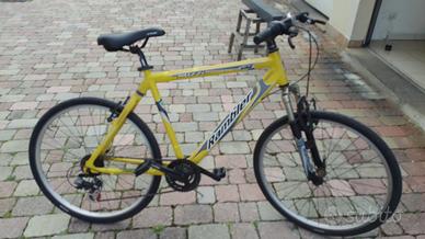 MTB telaio in alluminio ruote da 26