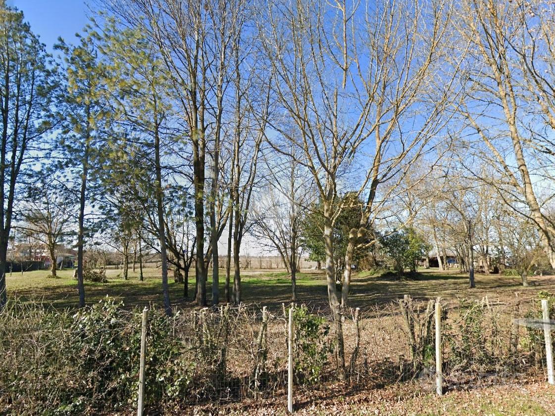 TER. AGRICOLO A BENTIVOGLIO - Vista 4