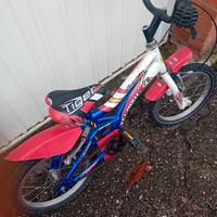 Bicicletta per bimbi Tecnobike Tiger