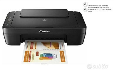 Canon stampante scanner Pixma MG2551S