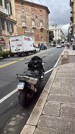 T max 500