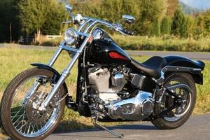 Harley Davidson Softail come nuovaPermu.to