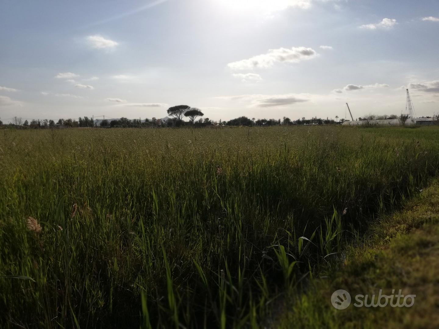 Terracina zona Badino Terreno terreno - mq.6.000 - Vista 2