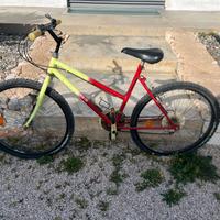 Bicicletta