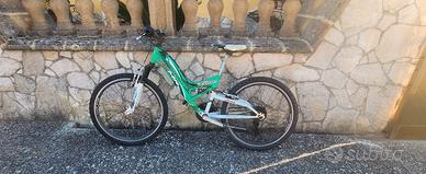 mountain bike sian 