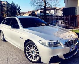 Bmw Serie 5 520 F10