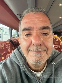 lavoro come autista  zona milano o pavia