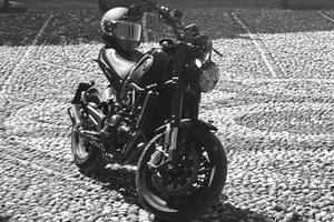 Leoncino 500cc 2024 Custom