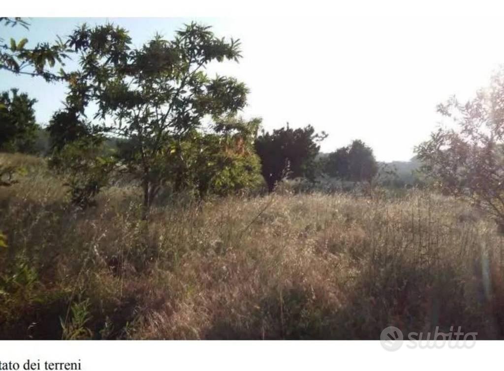 Immobile in asta di 5430 m² a Luzzi - Vista 4