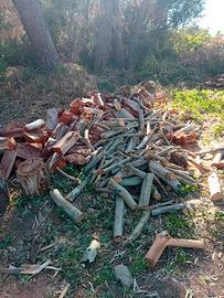 legna di eucaliptus