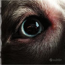 ROGER WATERS - THE DARK SIDE OF THE MOON REDUX