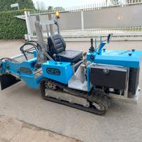 Puliscispiaggia usato speed tapiro 100