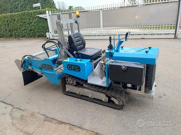 Puliscispiaggia usato speed tapiro 100