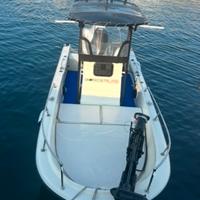 Boston whaler guardian 19