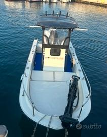 Boston whaler guardian 19