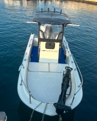 Boston whaler guardian 19