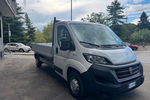Fiat ducato cassone mjt 2.3 anno 2019 euro 6d