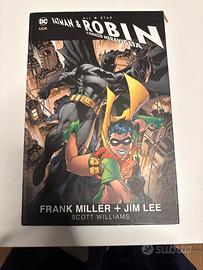 Batman e robin il ragazzo meraviglia