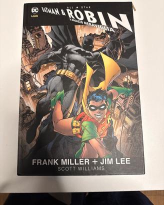 Batman e robin il ragazzo meraviglia