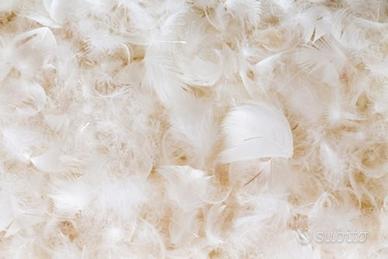 Piuma d'oca per imbottitura 
