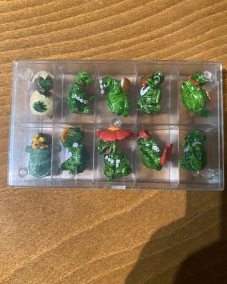 Collezione tartallegre