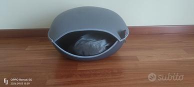 cuccia gatto