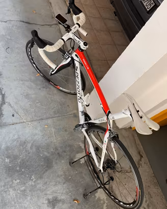 Bici Spezzotto Tg 54