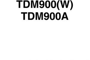 Manuale di officina TDM 900
