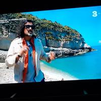 tv 24 led piatto