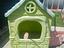 Immagine 2
