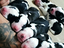 Immagine 1