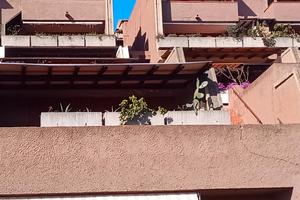 Bilocale Cugnana Verde (Olbia)