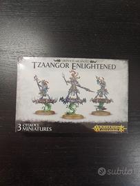 Age of Sigmar - Tzaangor Enlightened