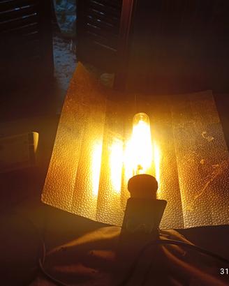 lampade da serra 
