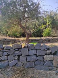 Terreno - Aci Castello