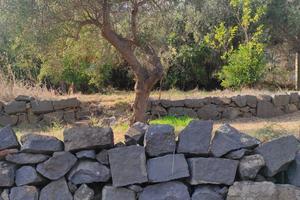 Terreno - Aci Castello