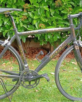 Bici da corsa Gioda