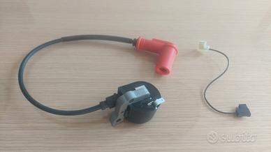 Bobina Tagliaerba AS Motor E11818 G00104026