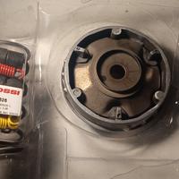 variatore zip fast rider