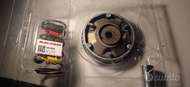 variatore zip fast rider