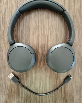 Cuffie Sony WH-CH520