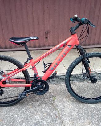 Biciclette Ricondizionate