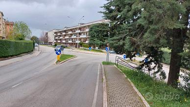 Stanza singola per studentessa universitaria