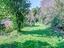 Immagine 27