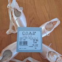 Scarpe da punta danza Chacott