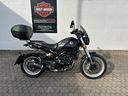 benelli-leoncino-500