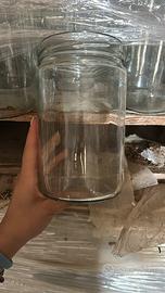 Vasetti in vetro e bottiglie per olio con tappo