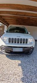 Jeep Renegade limited 1.6 Multijet interni in pell