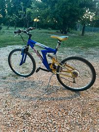 Bicicletta bambino  Esperia 8500 teens